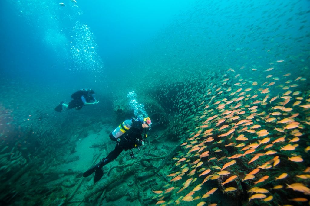 Artificial Reef: Nature's Best Friend? - Southern Boating