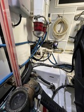 Bucephalus 44 IMG_5367