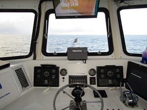 Reel Eazy 2 IMG_0397