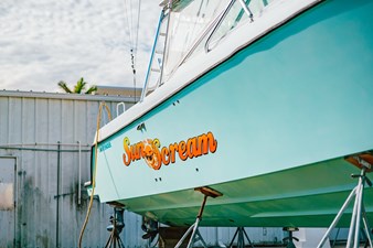 SUN SCREAM 39 J15