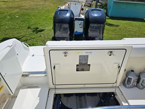 Salty Frog 24 