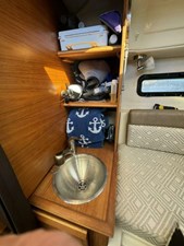 Quin Sea 12 
