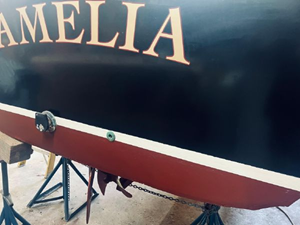 Amelia  27 28