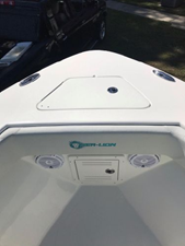 2021 Sea-Lion Center Console 11 12