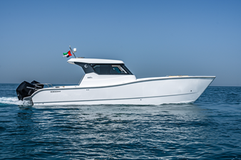 #1  SILVERCAT 34HT 18 