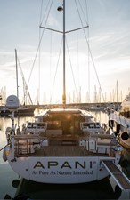 APANI 40 APANI EXT 33