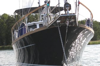 Bluesy 1 photo_2024-04-12_11-03-01