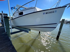 Eastern Seaway 6 IMG_5140