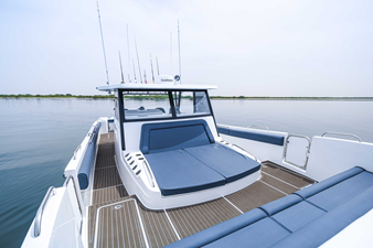 SILVERCAT 40CC 16 