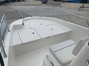 BAYLINER ELEMENT F18 8 09.bow rails