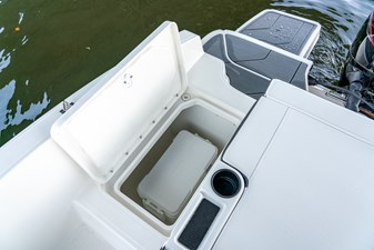 Bayliner DX2000 11 