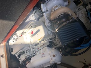 Amour 44 