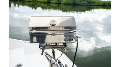 Dreaming On 32 33. 2003 Leopard 47