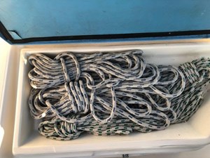 DUET 34 35