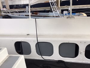 White Seal 10 8.5_IMG_0331