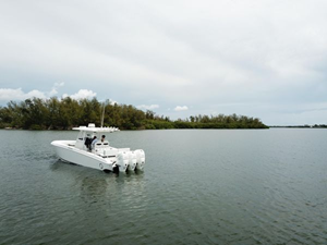 Shellyfish 37 38
