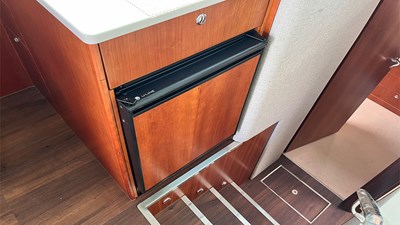 King Fish 5 IMG_7627