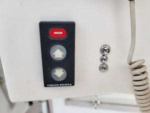 Bay Rat II 8 