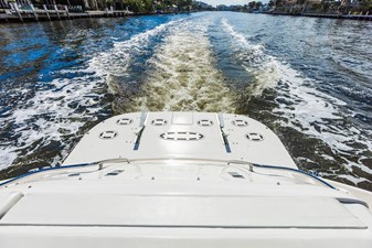 Endless Summer 19 4L4A8418