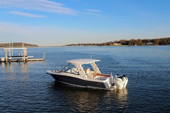 SCOUT 275 DORADO 31 
