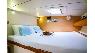 Dreaming On 7 8. 2003 Leopard 47