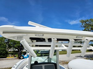 Salty Frog 16 