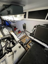 Bucephalus 42 IMG_5364