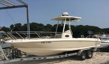 2018 Boston Whaler Dauntless 240 0 1