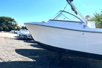 Cobia 3 1 