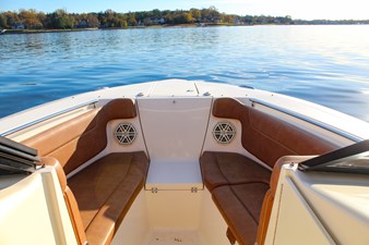 SCOUT 275 DORADO 14 