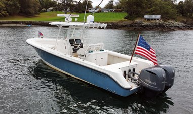 FLYING WASP 4 Port Quarter
