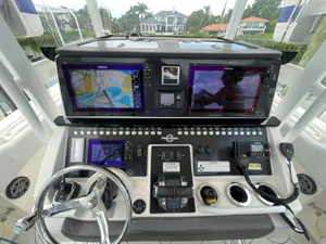 Shellyfish 95 96
