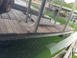 024 Yamaha 252SD NLNL 110 