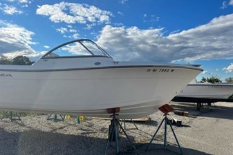 Cobia 3 3 