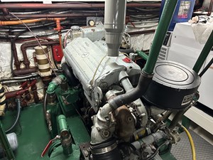IRIS 55 IMG_0975