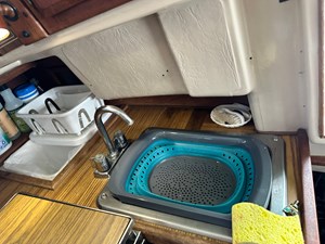 PURA VIDA 31 