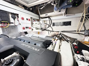 Macaco 48 9167342_957468748_0_180120241353_50