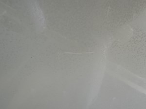 Southern Cross 157 