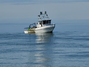 1975 Custom Crabber 0 