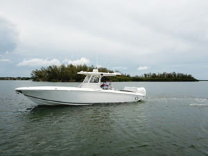 Shellyfish 7 8