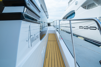 #2 SILVERCAT 46LUX 41 