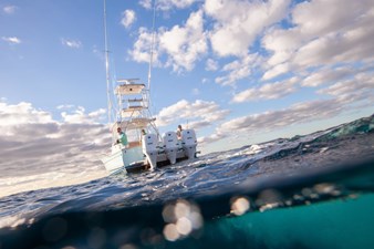 Maverick 39 5 maverick39_5