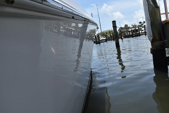 Harry's Dream 40 