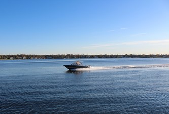 SCOUT 275 DORADO 29 