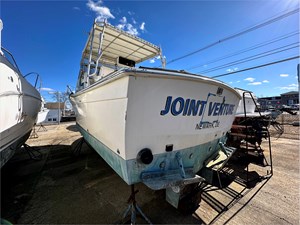 Joint Venture 2 