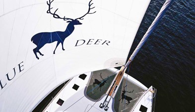 BLUE DEER 3 Sunreef 74 BLUE DEER 4