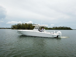 Shellyfish 6 7