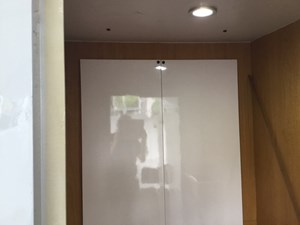 White Seal 15 15_IMG_0336