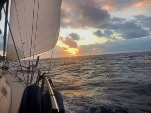 Fusion 29 