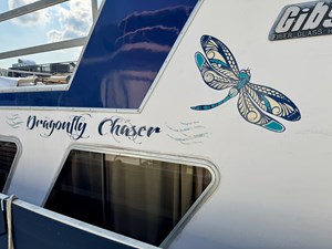 Dragonfly Chaser 134 